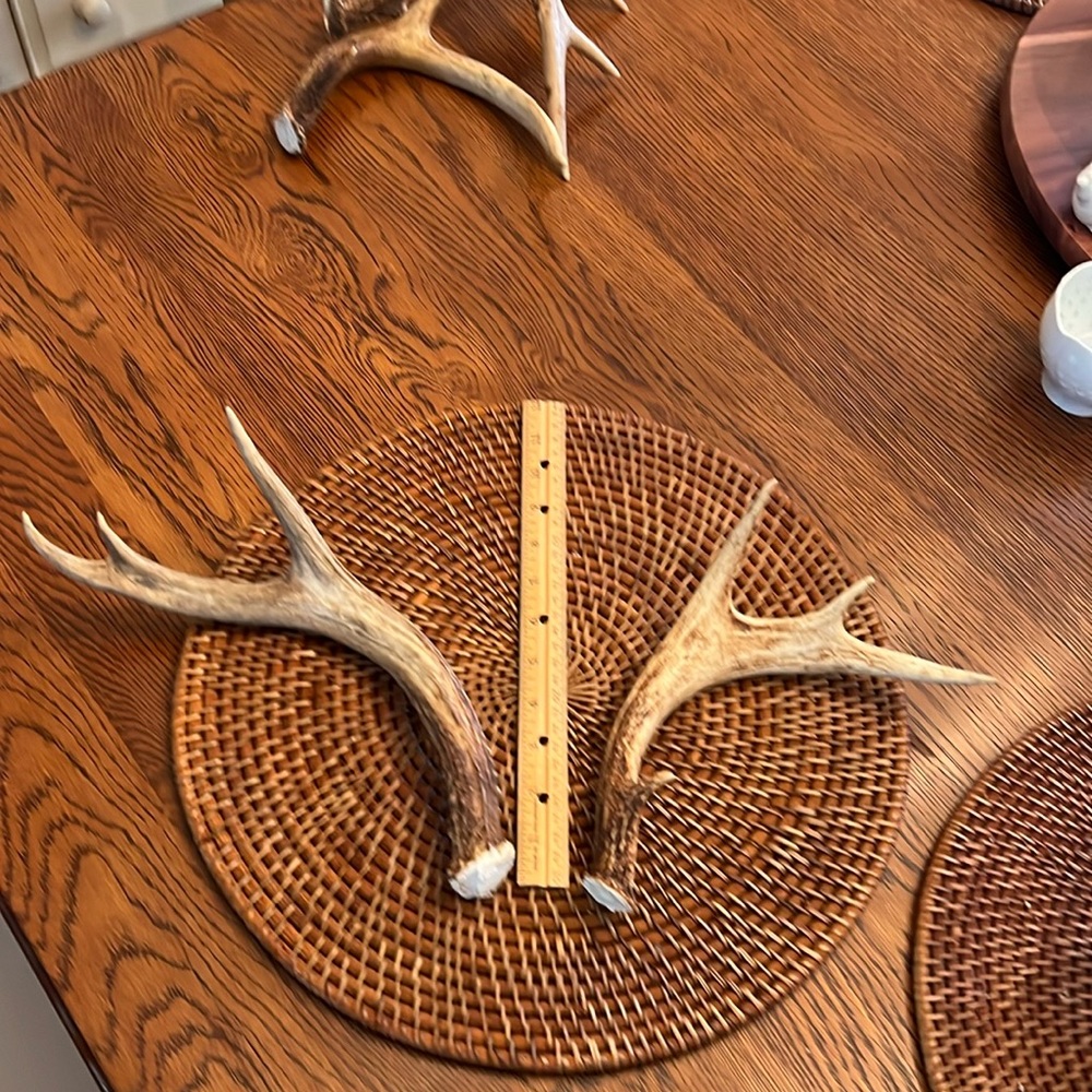 One pair of Whitetail deer antlers.